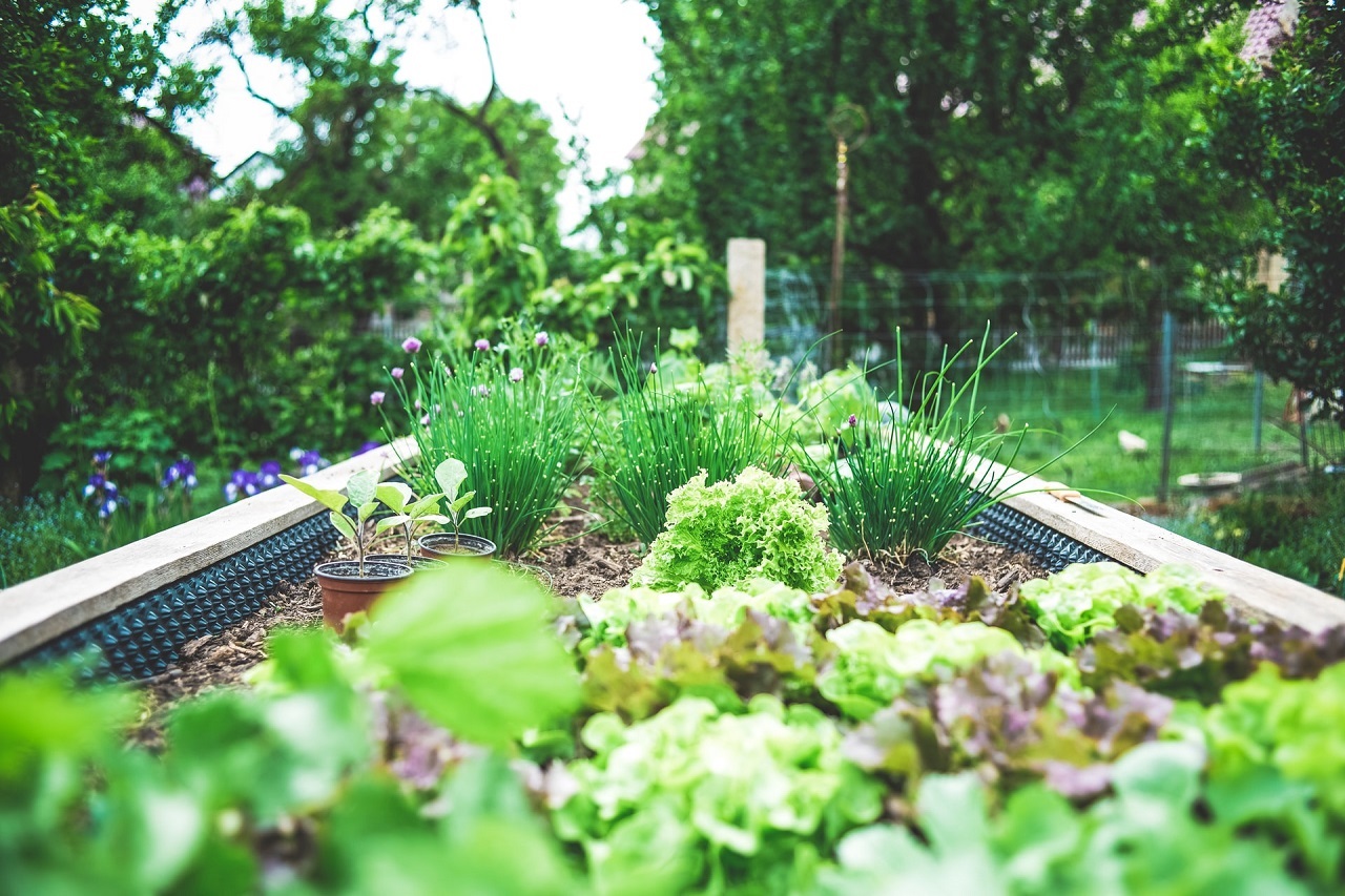 Za pomocą jakich materiałów i roślin urządzić efektowny ogród?